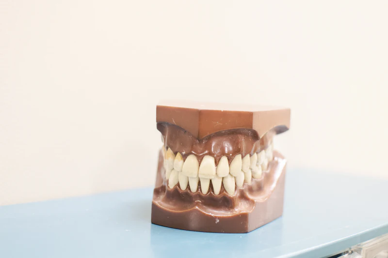 A set of artificial teeth on a shelf